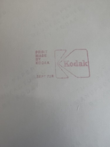 COLOR PHOTOGRAH OF UNION PACIFIC ENGINE 3629  ( 8X 10)