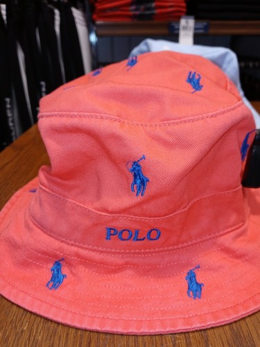 In Pink With Royal Blue Ponies