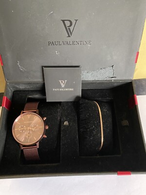 An Ex Display Paul Valentine Multifunction Mesh Watch And Bracelet Set 