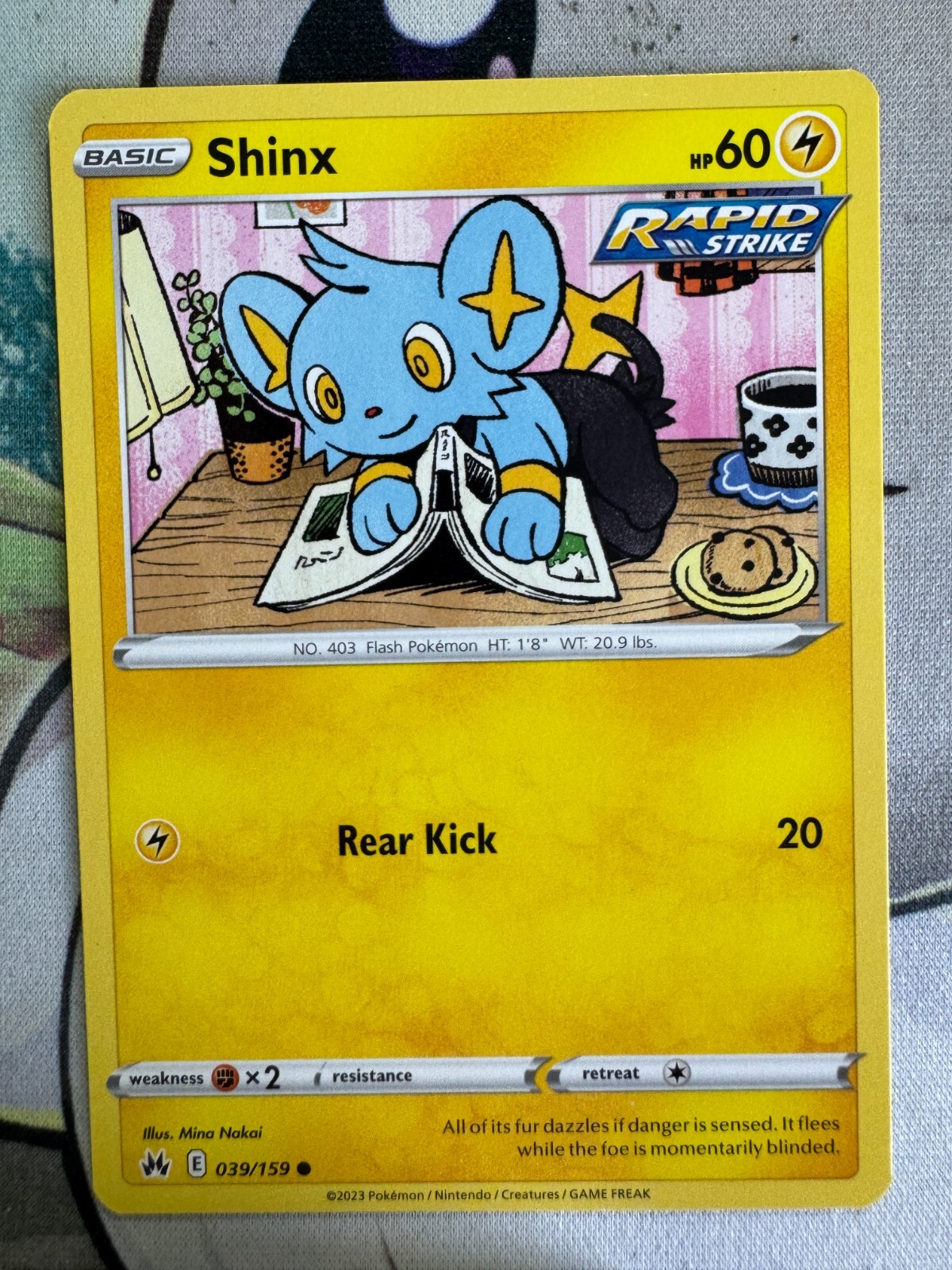 Shinx Non Holo English Pokemon TCG BKY265 | eBay Shinx Non Holo English Pokemon TCG BKY265 | eBay