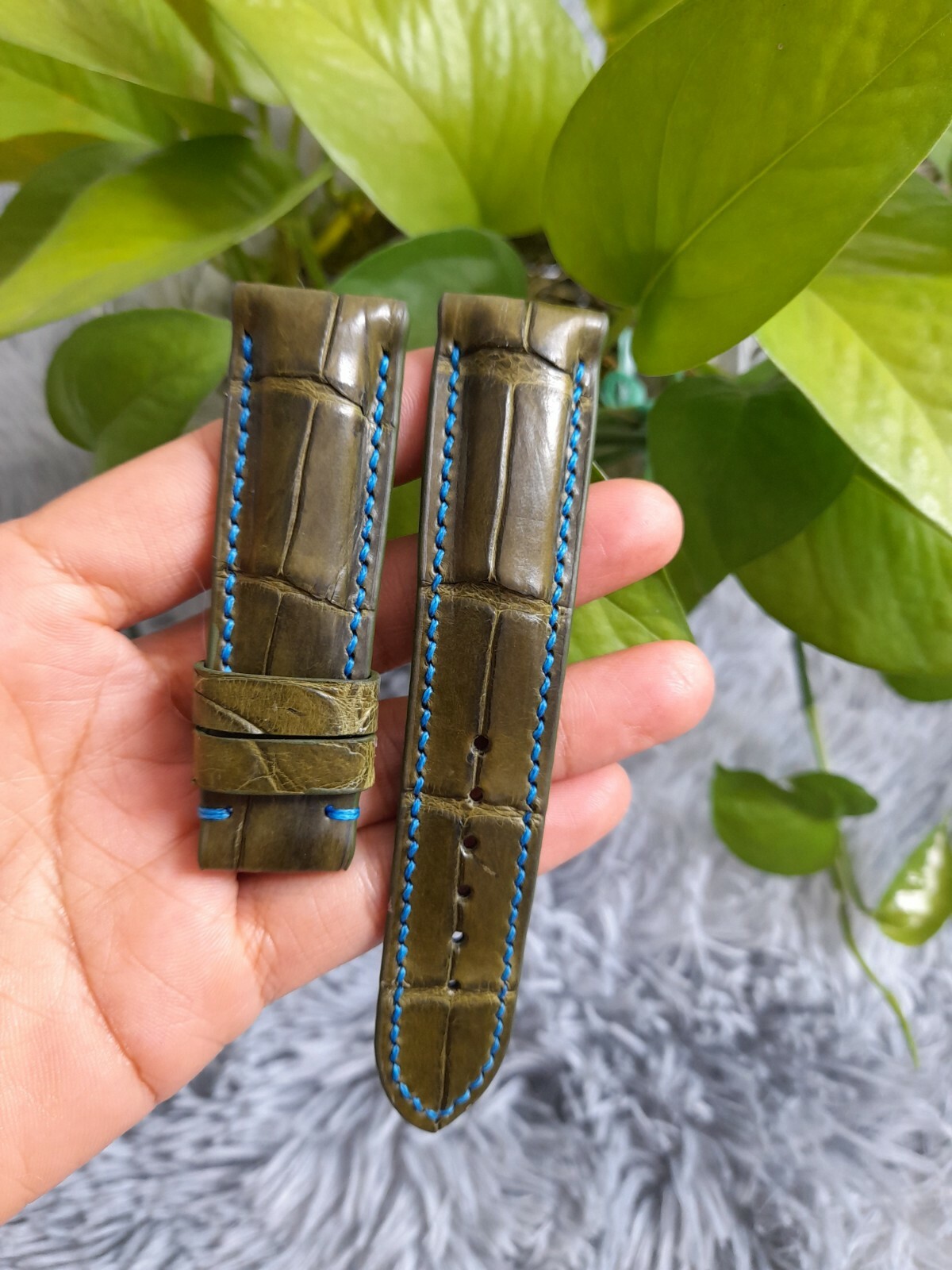 Green alligator watch strap best sale