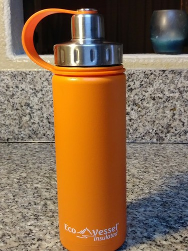 Gatorade/Eco Vessel Insulated Bottle & BodyBuilding. Com shaker