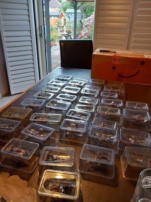 Foto dell'oggetto di un acquirente verificato