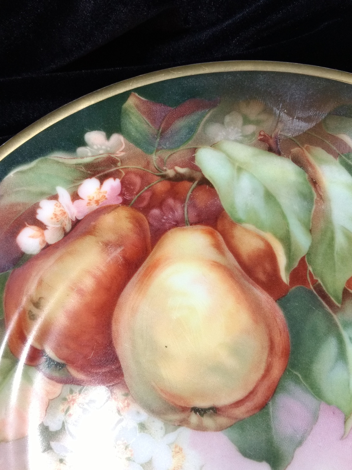 Antique THOMAS Sevres Bavaria Plate Hand Painted 