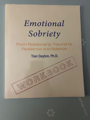 Emotional Sobriety From Relationship Trauma to Resilience & Balance Dayton New