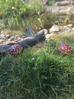 Artikelfoto(s) von einem verifizierten Käufer