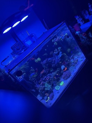 Fotos del artículo de un comprador verificado