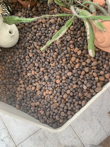 Foto dell'oggetto di un acquirente verificato