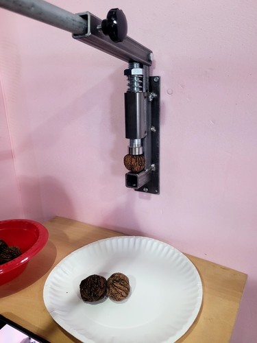 Black Walnut  Nut Cracker - Unpainted