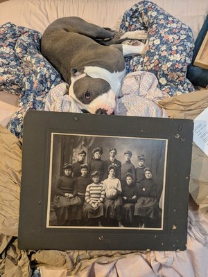 Item photo(s) from verified buyer