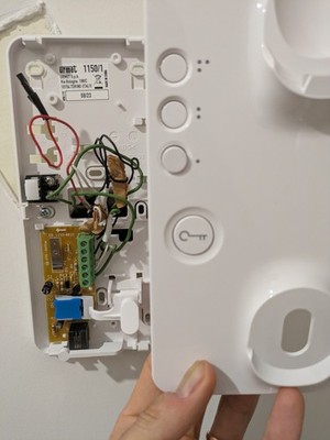 Foto dell'oggetto di un acquirente verificato