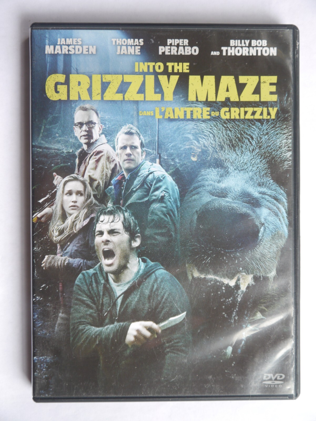 E-20) Into The Grizzly Maze. Billy Bob Thornton. DVD | eBay