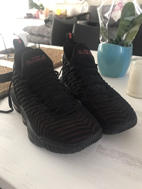 lebron 16 fresh bred australia