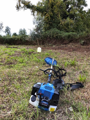 Foto dell'oggetto di un acquirente verificato