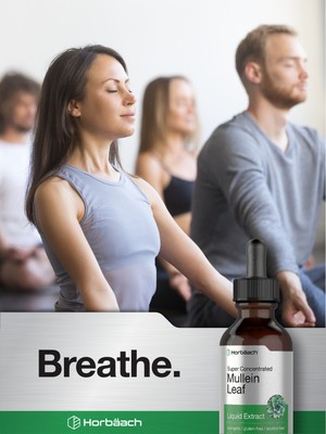 Mullein Leaf Liquid Extract | 2 fl oz | Alcohol Free, Vegetarian | by Horbaach