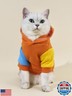 QWINEE Dinosaur Dog Hoodie Dog Warm Jacket Christmas Halloween Dog Costume Dog Clothes for Puppy Kitten Small Medium Dogs Cats Orange and Blue XL