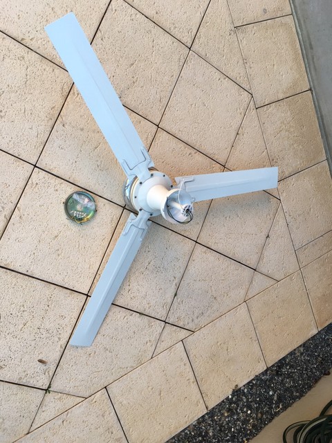 Ceiling Fan With Light White Ceiling Lights Gumtree