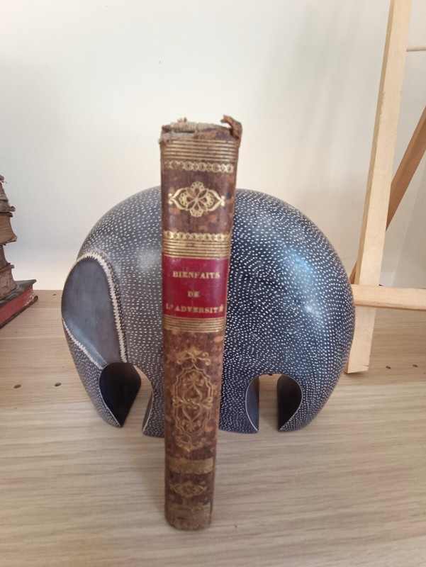 Les Bienfaits De L'AdversitÃ©, Nouvelles, Stephen De La Madeleine