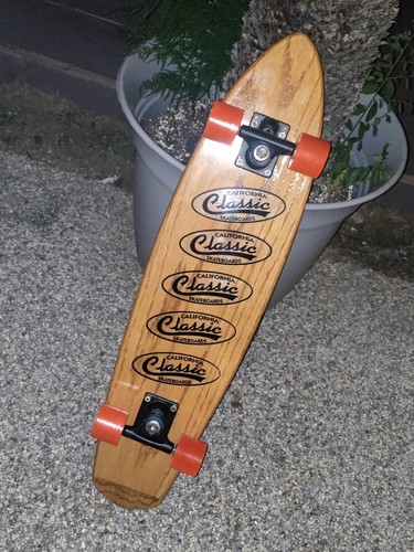 レア　70s Vintageskateboard madein CAL USA Vintage 70s USA fiberglass Cruiser Skateboard W/ City Street