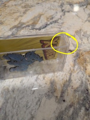 Item photo(s) from verified buyer