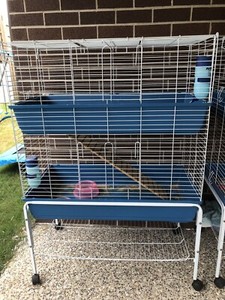 petbarn guinea pig cage