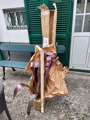 Artikelfoto(s) von einem verifizierten Käufer