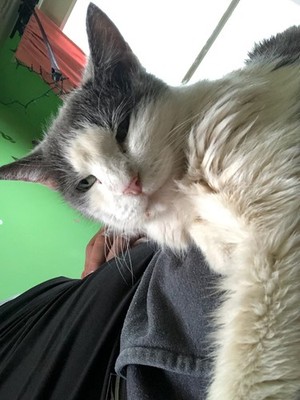 Artikelfoto(s) von einem verifizierten Käufer