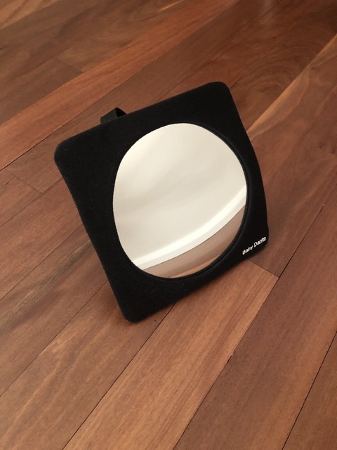 baby dante car seat mirror