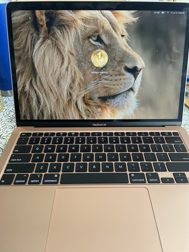 MacBook Air ゴールド A2179 apple A2179 LCD Display Assembly 13