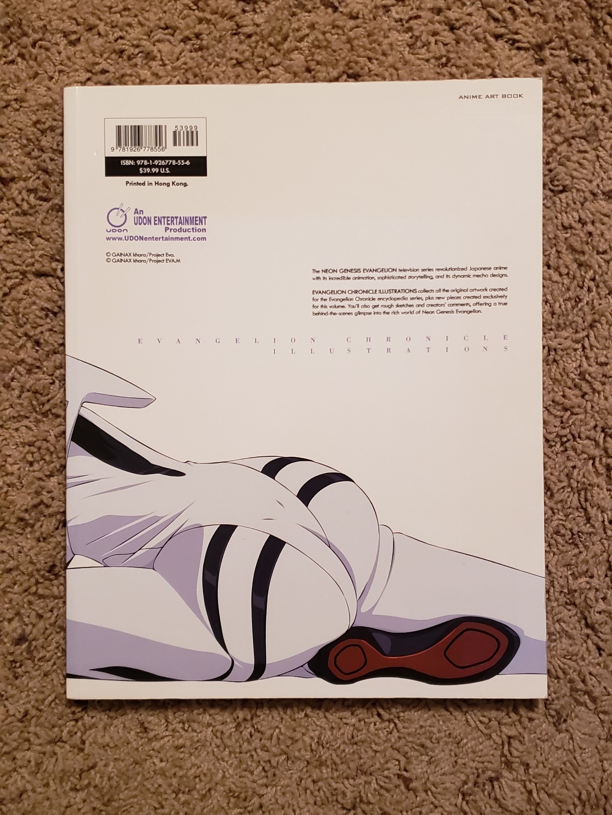 Evangelion Chronicles Illustrations anime art book English edition
