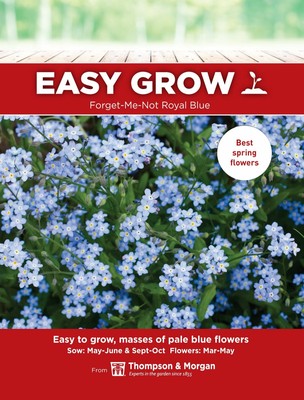 Senor Fothergills Pictorica Packet Flor Huevo Escalfado Planta 100 Semillas Ebay