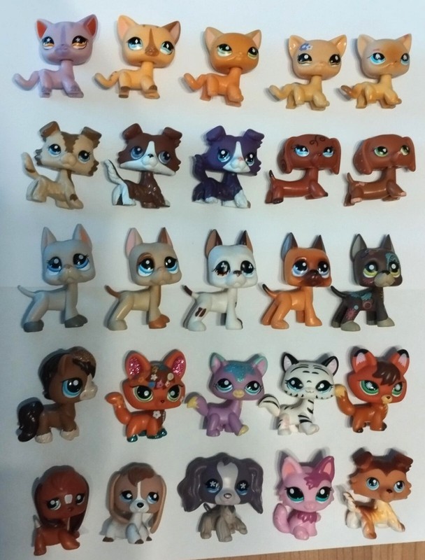 Petshop Tige Blanche 