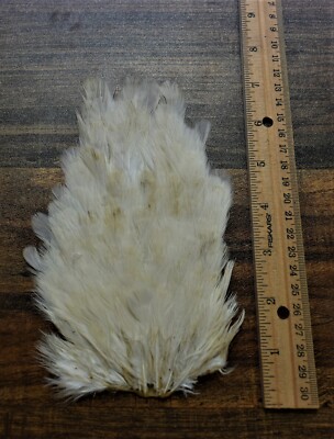Lot  117,  Natural White Hen Back Saddle Soft Hackle Feathers for Fly Tying