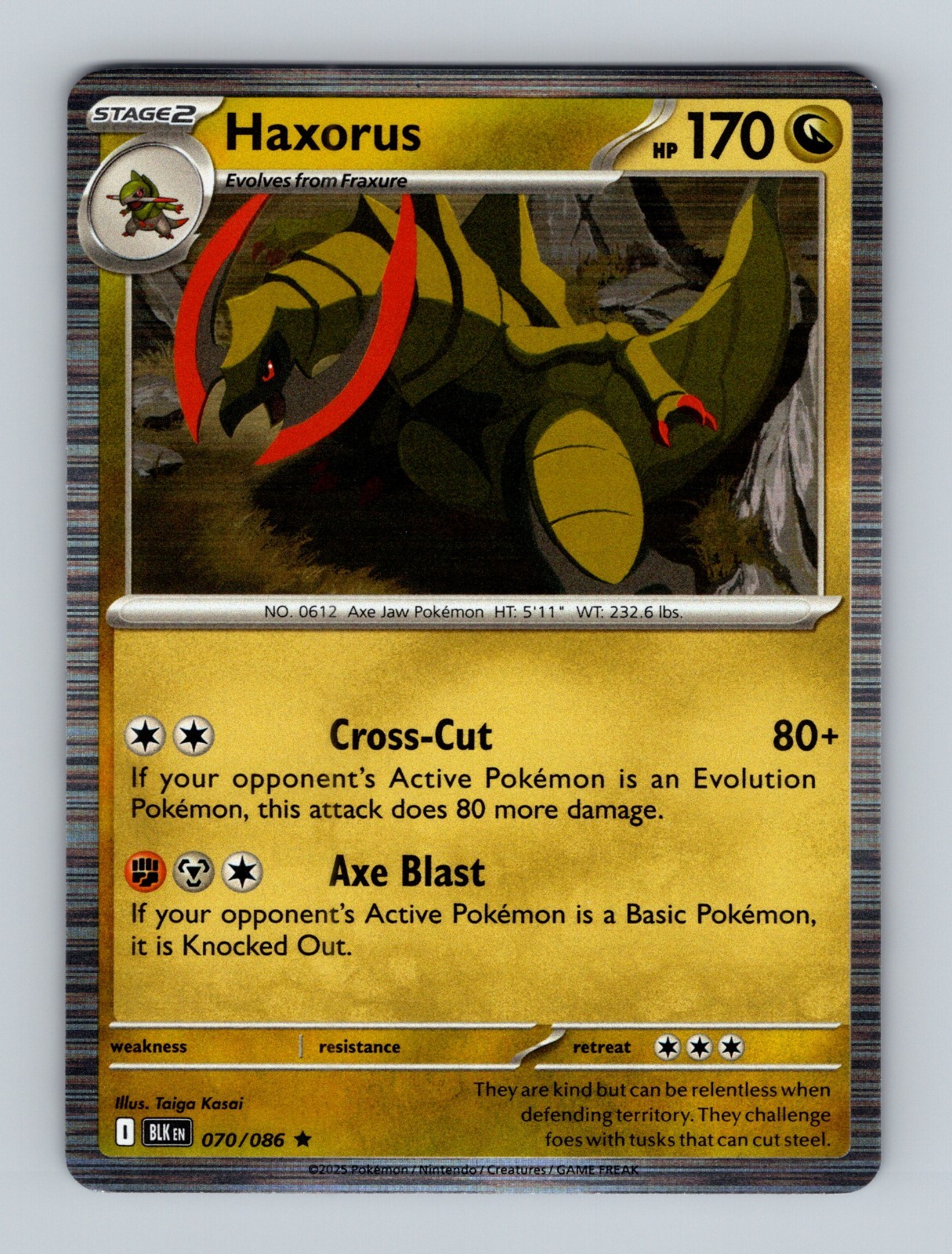 ヴァイスシュヴァルツ PSA10 2019 CHAOS TCG MH DIRECT HACK #070 Charizard VMAX 020/189 Darkness Ablaze CGC 9.5