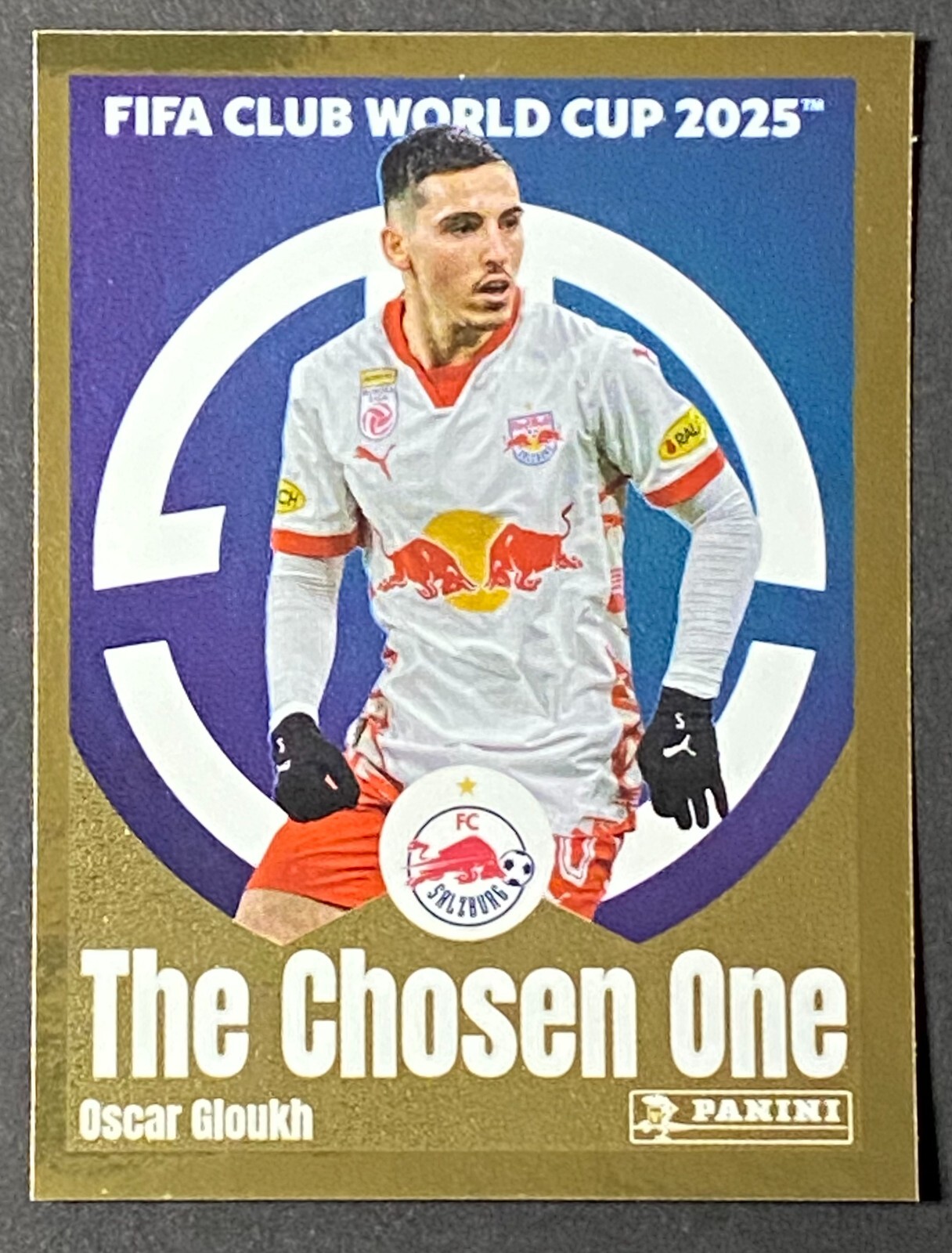 panini FIFA WORLD CUP カード　11枚セット s-l1200.jpg