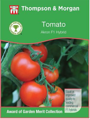 5 graines THOMPSON /& Morgan-Légumes-Tomate gigantomo F1 hybride