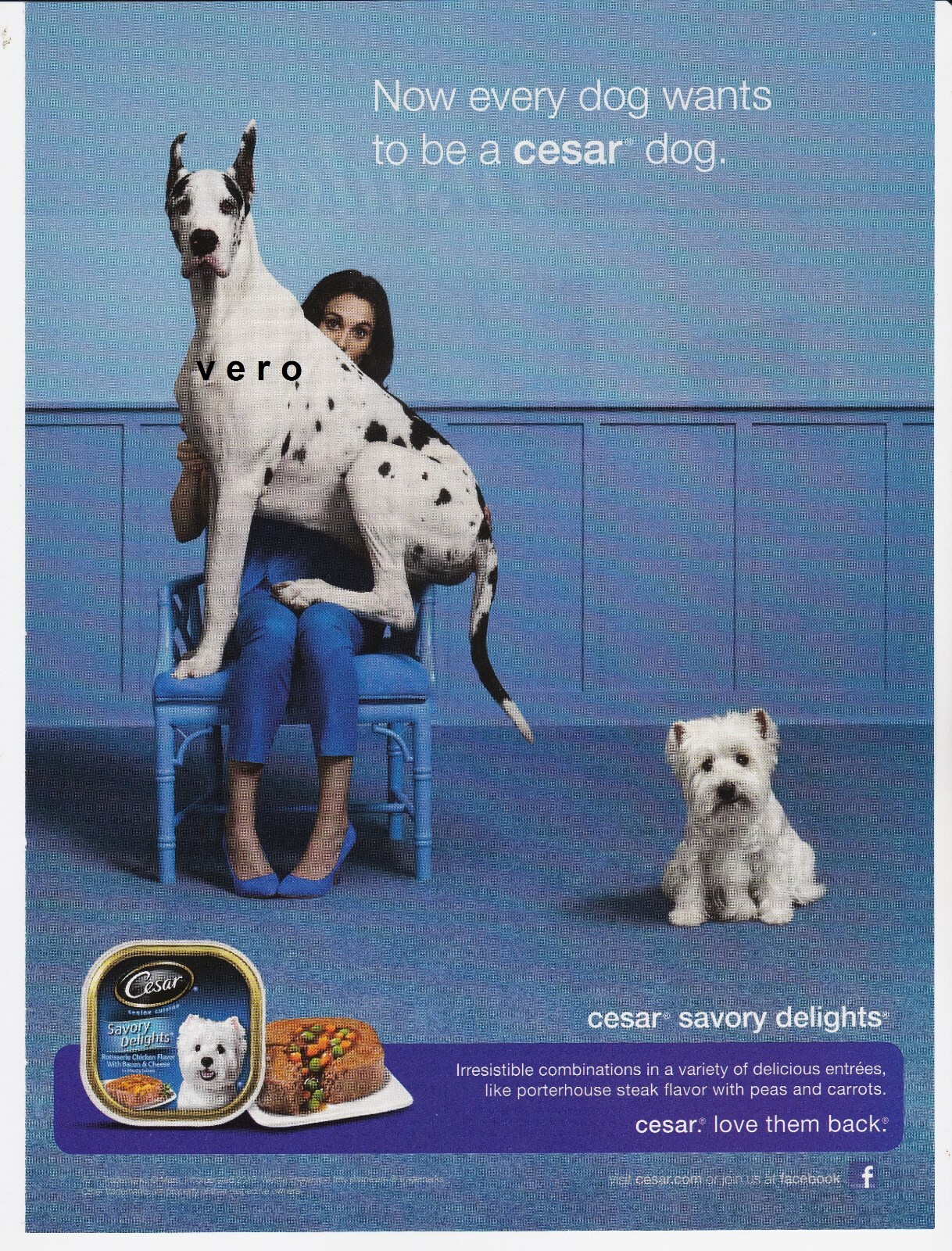 print-ad-cesar-dog-food-2013-great-dane-magazine-art-clipping-westie-terrier-2-ebay