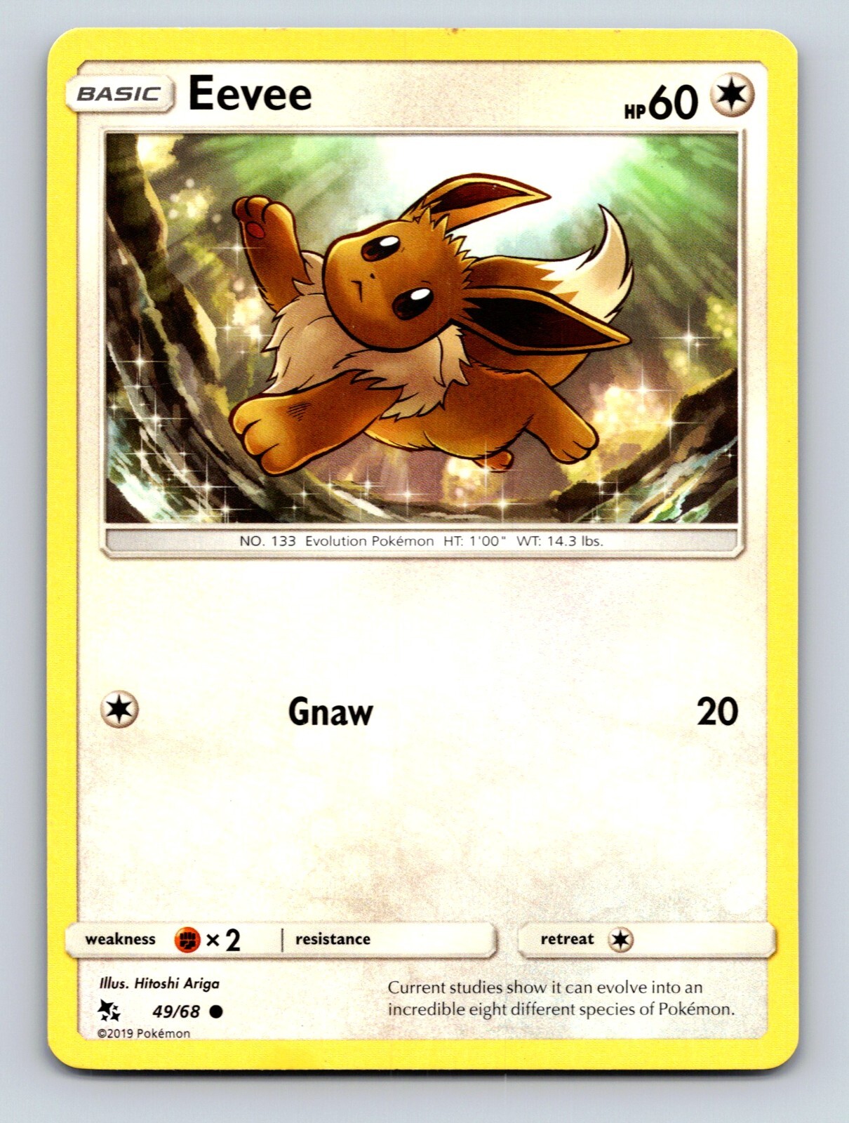Eevee HP 60 Gnaw Attack Normal Type Pokémon Evolution Card