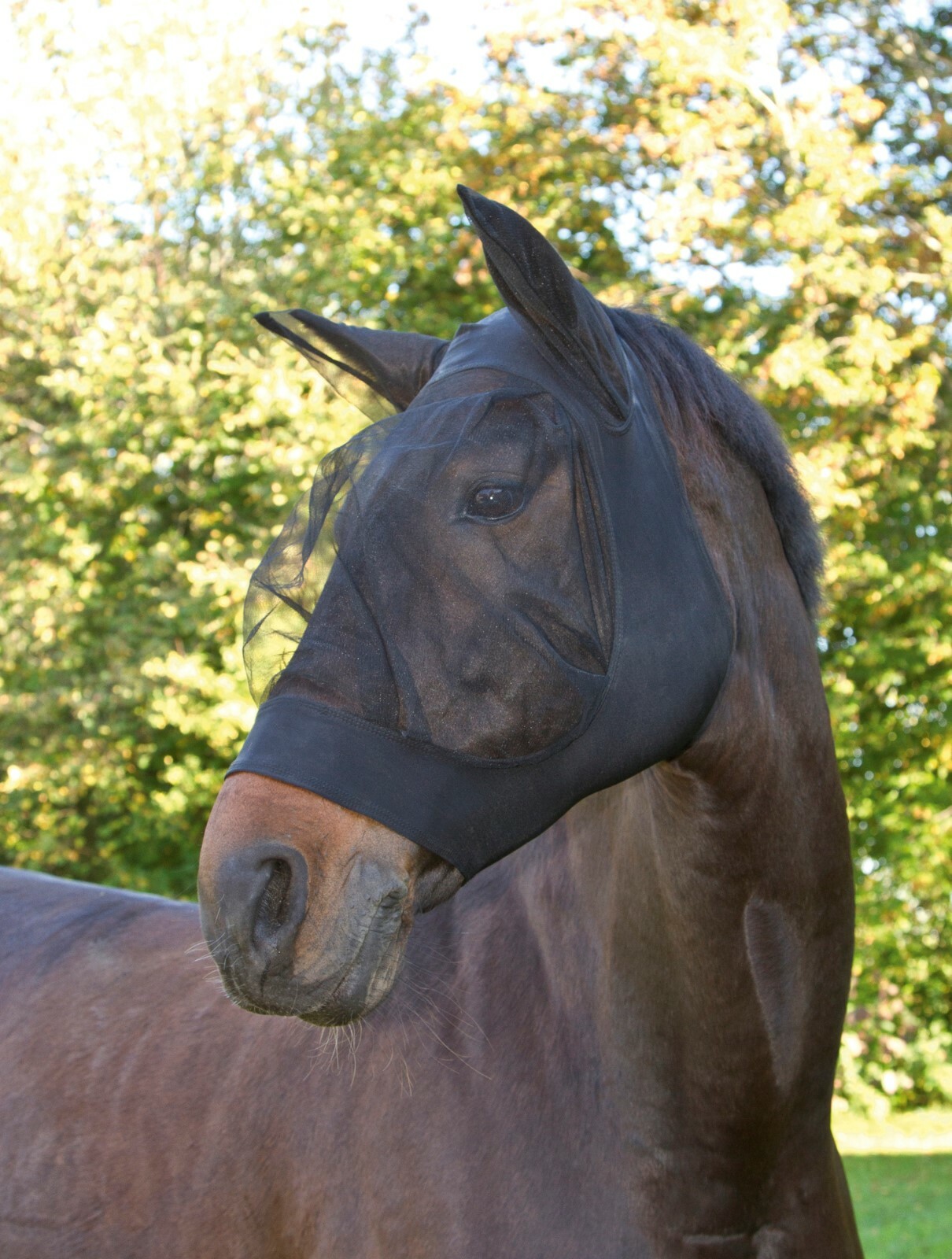 Fliegenschutzmaske Pferd FinoStretch, Full,Cob,Pony, Fliegenhaube schwarz o.blau