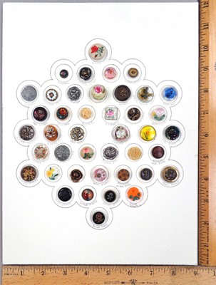 Fun cute shank button. Wounderful detail 6 buttons per pack Bee my friend glitter flowers