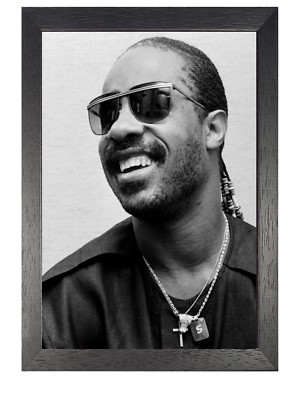 新品A2 STEVIE WONDERアートポスター 半光沢紙 $_1.JPG?set_id=8800005007