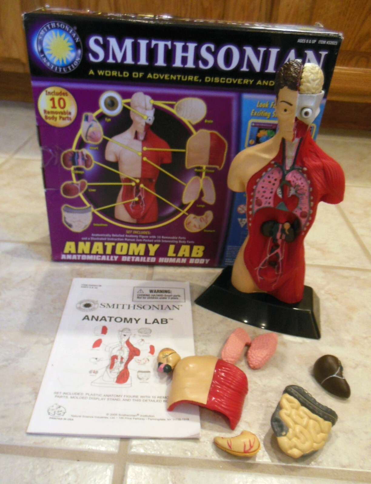 Educational Toy Smithsonian Anatomy Lab with box, Vintage, Human Body Display