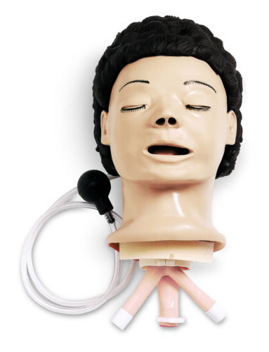 Life/form® Adult Airway Management Trainer, Head Only