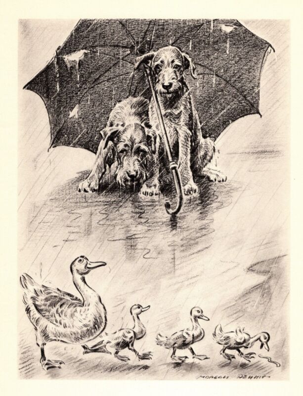 Sweet Vintage Irish Terrier and Ducks Print Morgan Dennis Irish Terrier 4600f