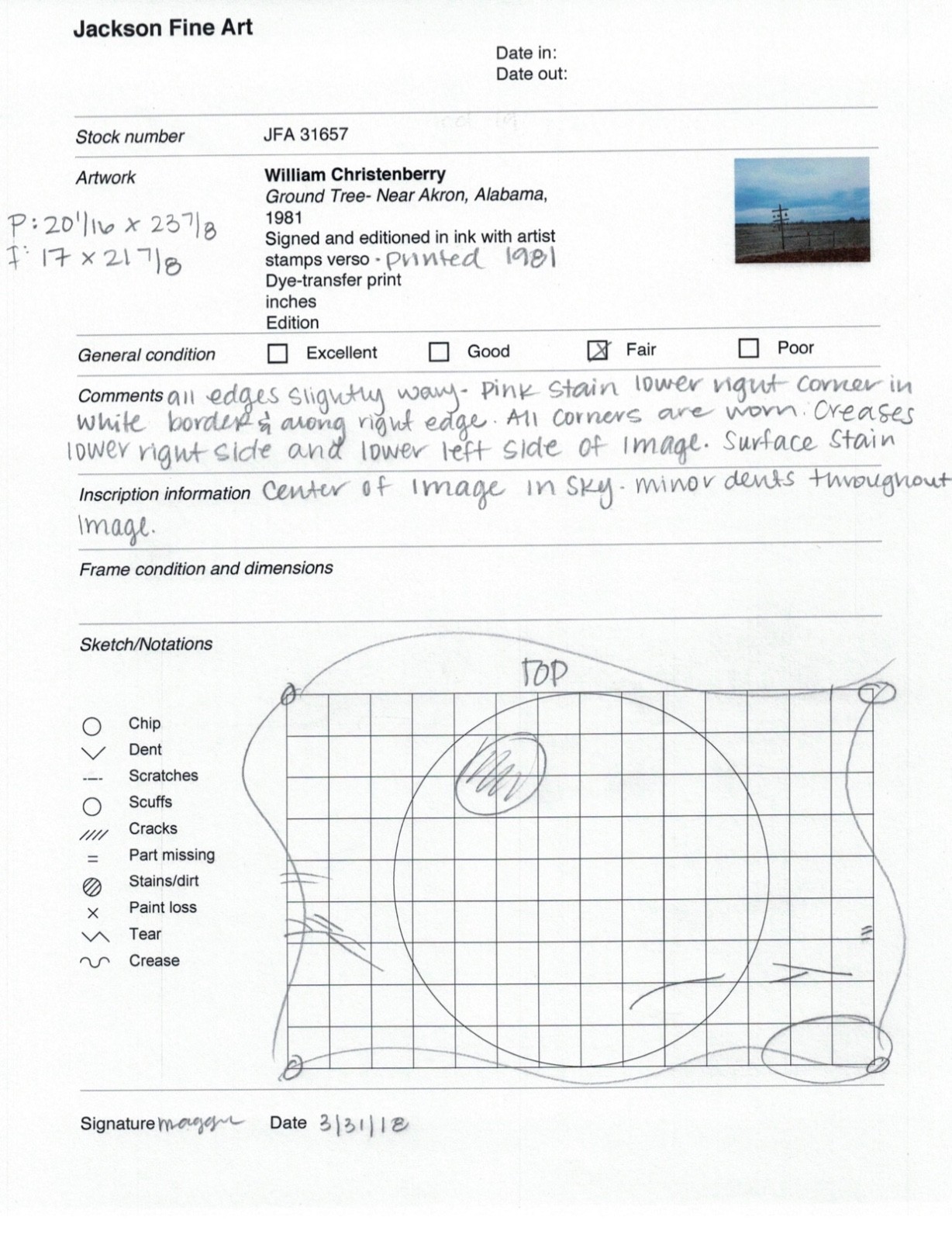 William Christenberry Ground Tree-Near Akron Alabama 1981 SIGNED Dye Transfer