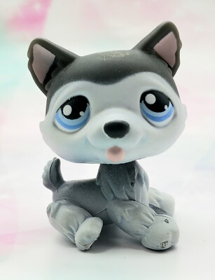 Littlest Pet Shop Authentic # 210 Gray White Husky Blue Eyes