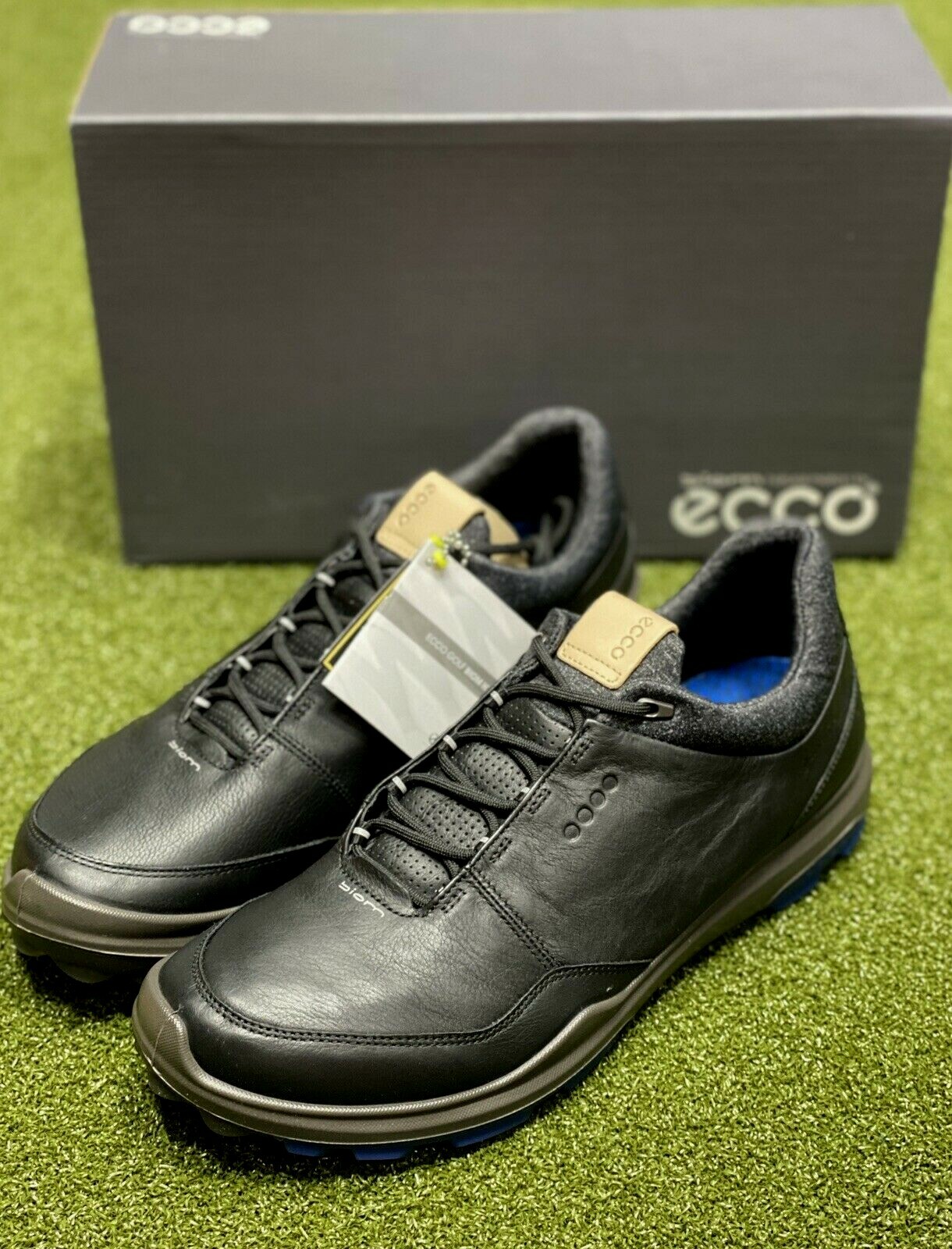 ecco biom 47