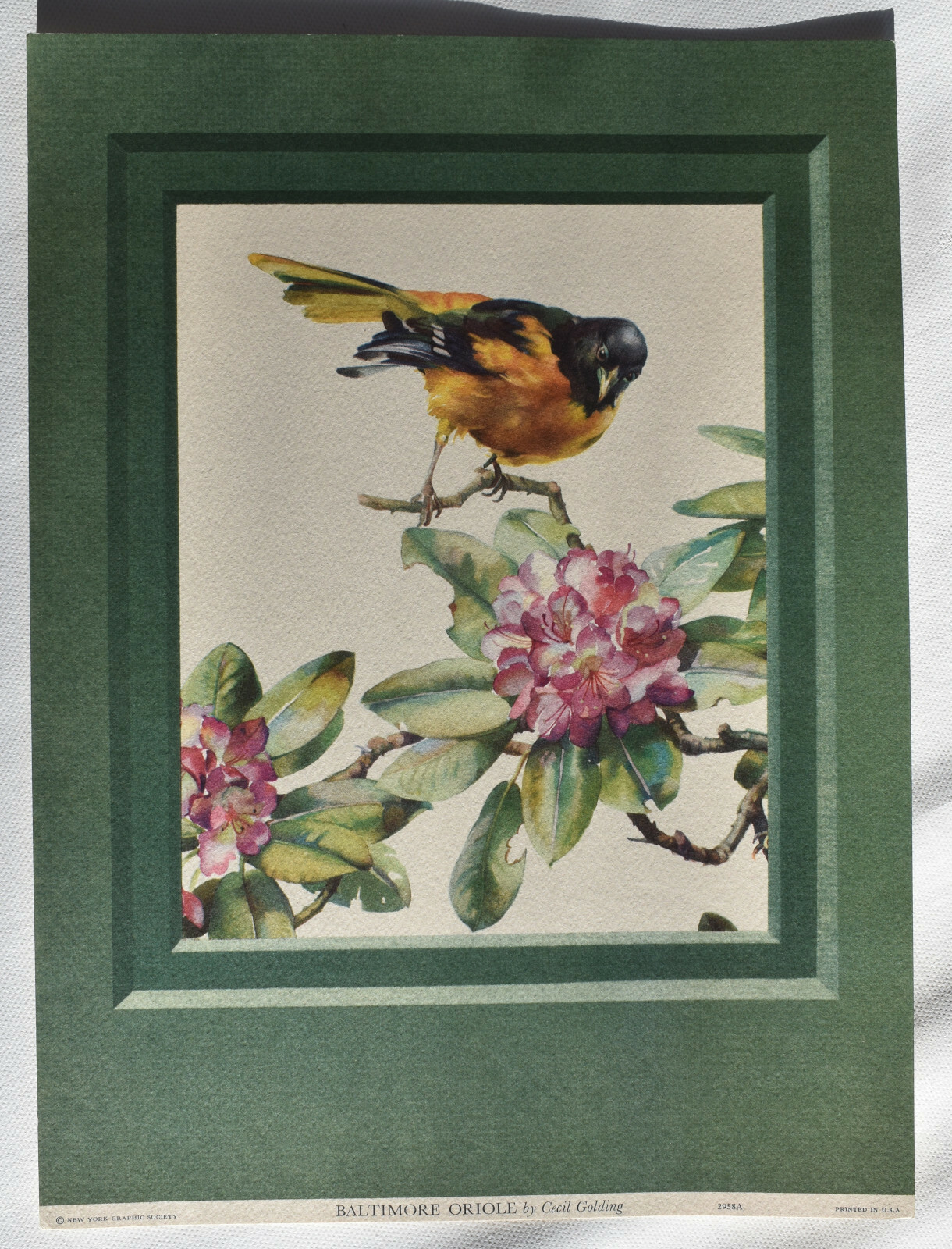 セシル・ゴールディング（Cecil Golding）プリントアート 2点セット CECIL GOLDING BIRD PRINTS NEW YORK GRAPHIC SOCIETY, 1940