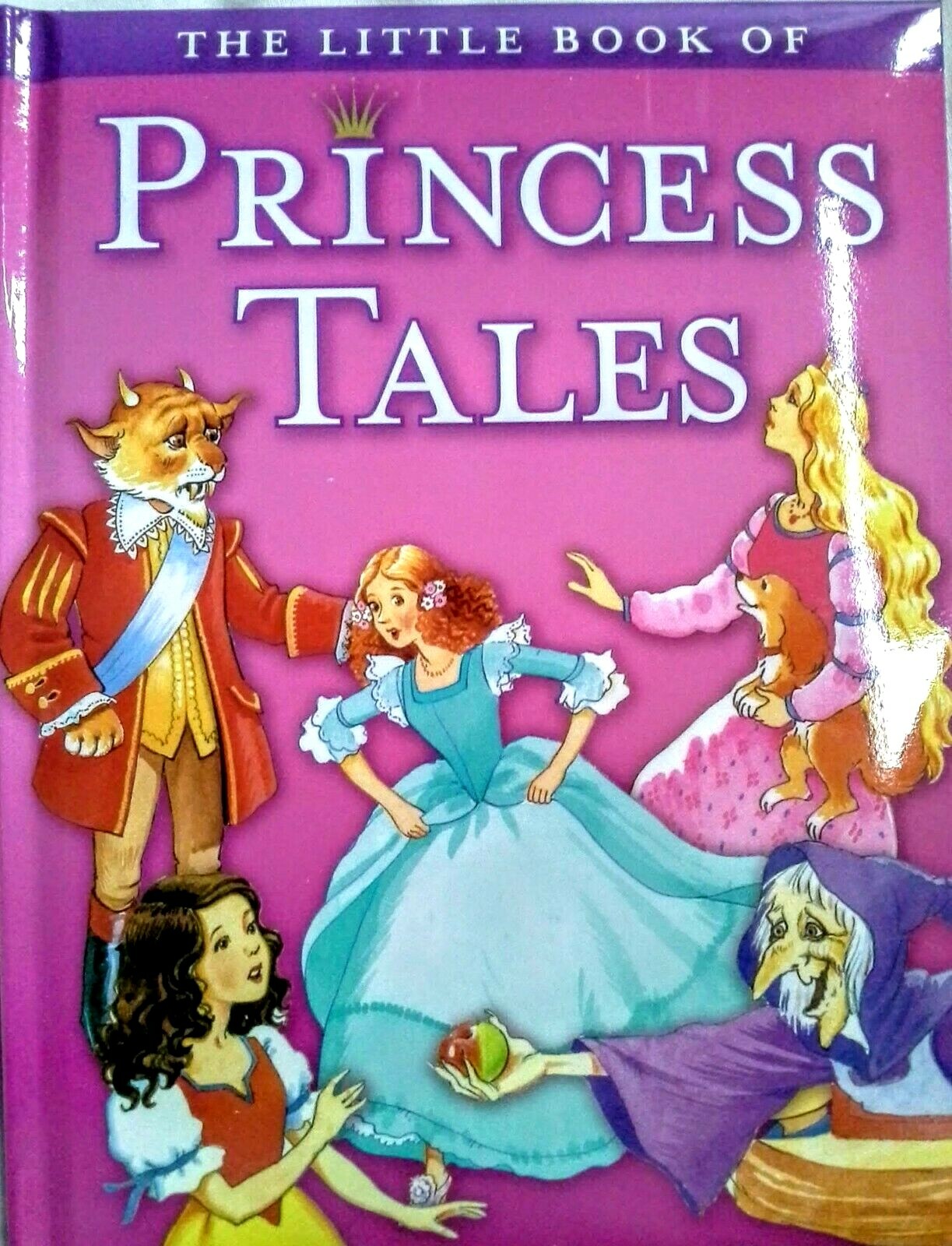 The Little Book of Princess Fairy Tales Padded Hardcover