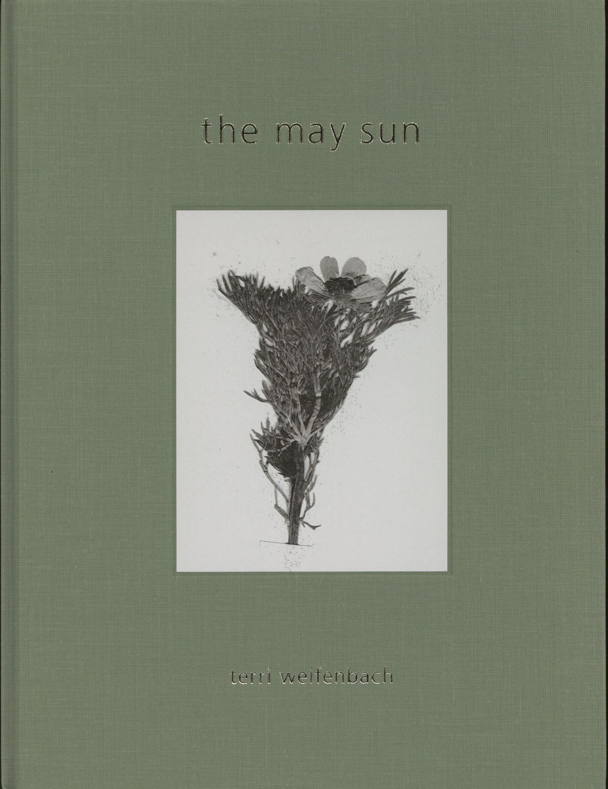 テリワイフェンバック Terri Weifenbach The May Sun The May Sun / Terri Weifenbach Limited edition of 1000 2017